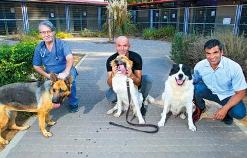אלון אהרון, רונן חזוט וד"ר לואיס הורנשטיין. "יש פה חמלה גדולה" | צילום: אסף פרידמן