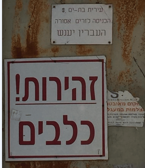 הכלבייה העירונית בבת ים | צילום: באדיבות תושבים