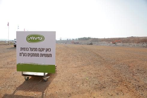 צילום: בן פרידמן צילום: בן פרידמן