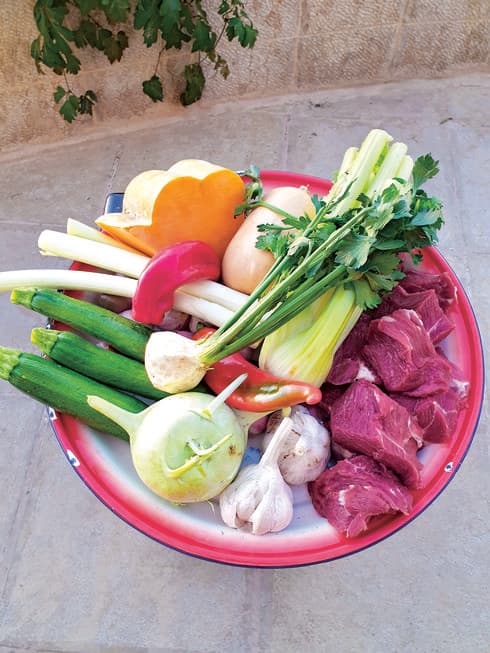 צילום: ריאן