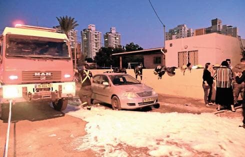 צילום: דנה קופל