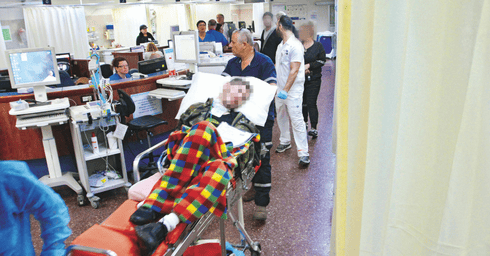 צילום: אסף פרידמן