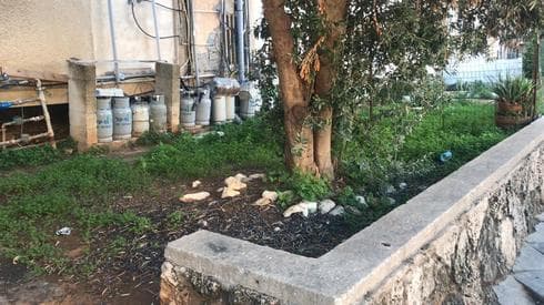 מפגעים בחצרות פרטיות בחולון | צילום: דוברות עיריית חולון
