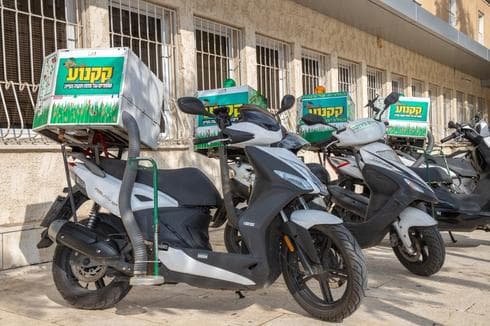 קקנועים. צילום: דוברות עיריית פתח תקוה