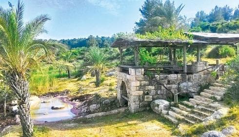 80 אלף ילדים ו-250 אלף מבוגרים ביקרו כאן| צילום: נאות קדומים