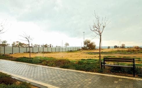 השטח באולגה. צילום: אלעד גרשגורן