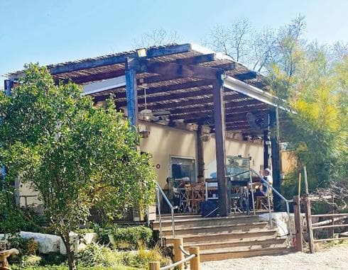 "ג'ויס". לכל הפוקצ'ות והרוחות | צילום: אשר קשר