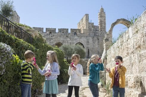 יום הבחירות מוזיאון מגדל דוד. צילום: יח"צ