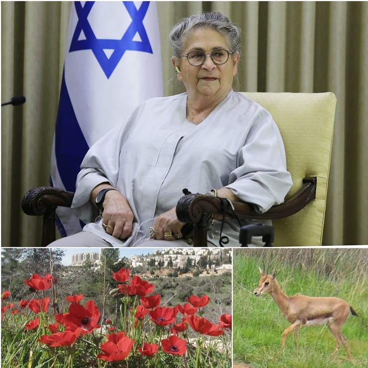 Nechama Rivlin, la gacela nombrada en su honor, y el valle. 