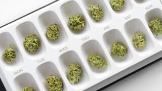 Marihuana medicinal
