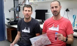 Redefine Meat