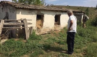 Campo