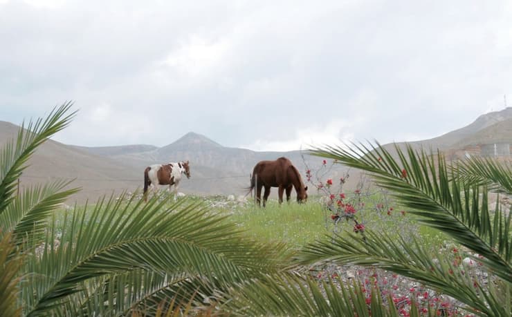 Jordania