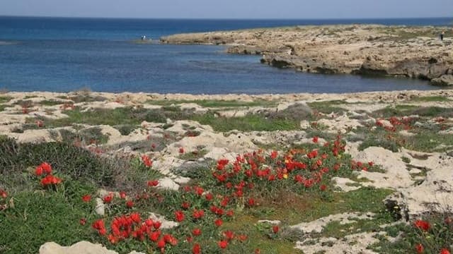 Dor HaBonim