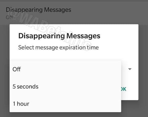 "Mensajes que desaparecen" está en etapa de desarrollo. 