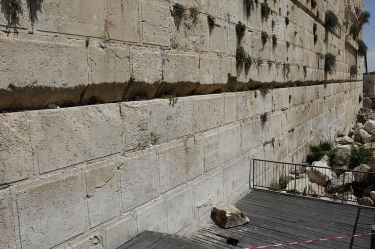 muro igualitario