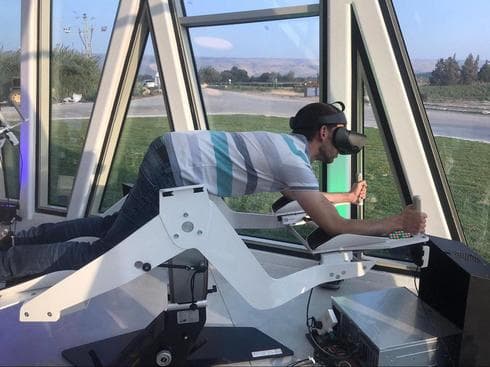 Mediante realidad virtual, quienes visiten el centro podrán formar parte de una bandada de grullas. 