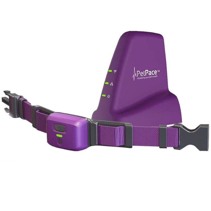 PetPace 