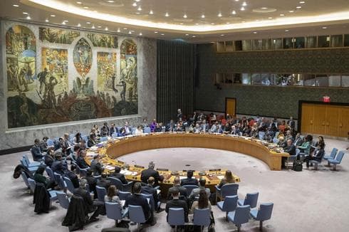 Consejo de Seguridad de las Naciones Unidas 