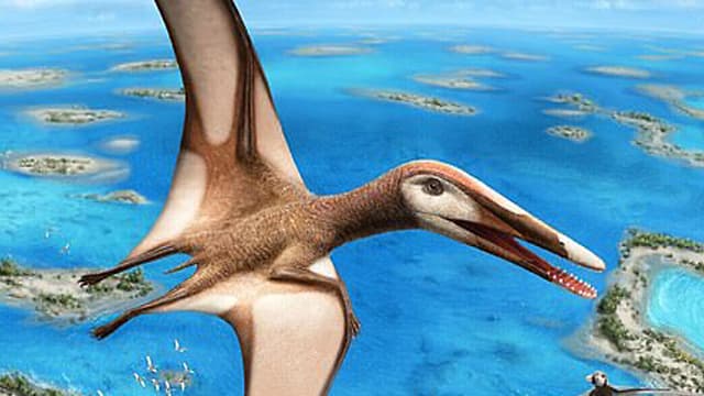 Ilustración del dinosaurio volando sobre el cielo del Líbano. 