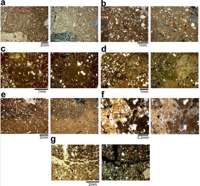 Fotos de cal en el microscopio 