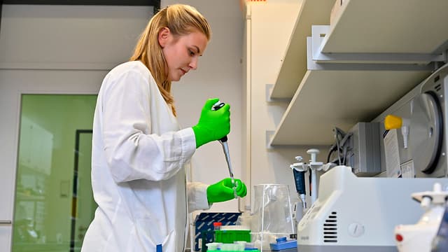 Científicos alemanes desarrollan vacunas en la isla Riems 