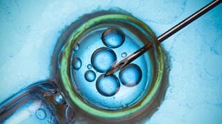 El Gran Rabinato ya no acepta a los niños nacidos de fertilizaciones in vitro como judíos hasta que demuestren serlo
