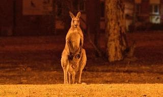 Australia