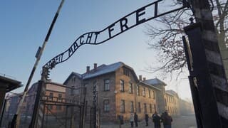 Auschwitz-Birkenau 
