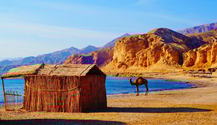 Sinai