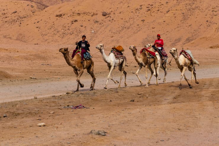 Sinai