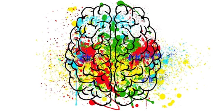 cerebro