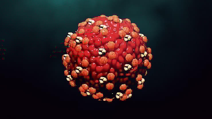 Simulación del virus del sarampión. Simulación de virus: La molécula “eRNA spat” pone en marcha contra éste el sistema inmunológico. (Shutterstock) Molecula