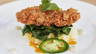 Pollo cultivado de Memphis Food 