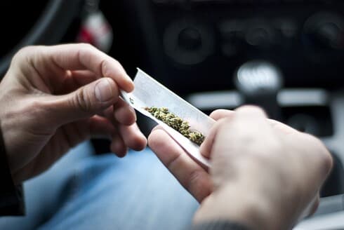 cannabis