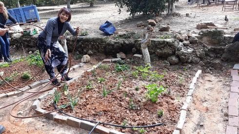 Jardinería