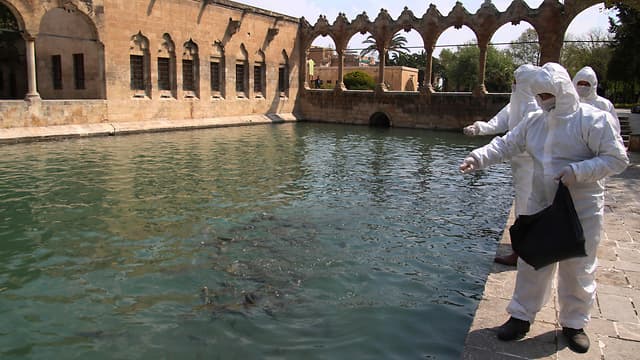 Los empleados del municipio de Orpha alimentan a los peces. 