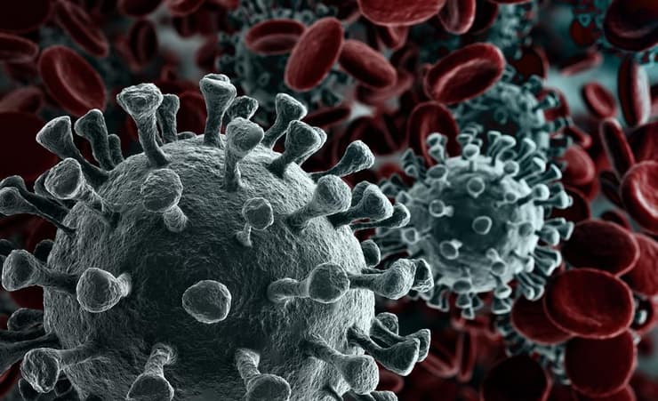 Vacuna coronavirus