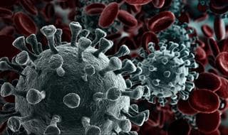 Vacuna coronavirus