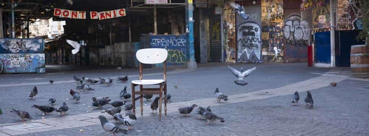 Las palomas tomaron algunas calles de la ciudad.