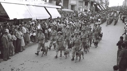 Marcha del primer Día de la Independencia en Tel Aviv, 1949. (Oficina de prensa del gobierno de Israel) Marcha del primer Día de la Independencia en Tel Aviv, 1949.