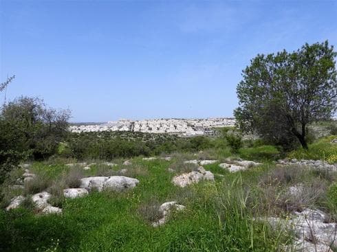Los restos arqueológicos de las colinas de Modín prueban la intensa actividad humana que existía hace miles de años en la zona. (Asociación de Defensa de la Naturaleza) Colinas Sur Modin