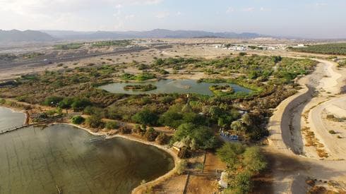 Extremo sur de Israel: el Parque de las Aves, un oasis en el desierto del Negev, en la imponente ciudad de Eilat. (Deb Greenblat) Parque de las Aves Eilat