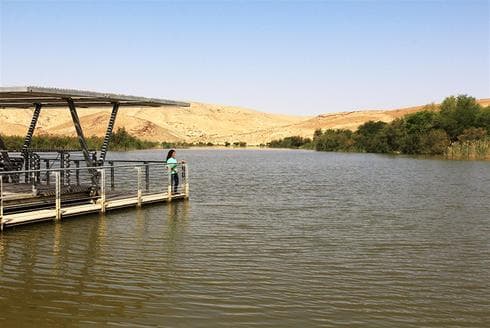 El lago Yeruham es un atractivo turístico, pero también un imán para fauna desértica que se acerca a la zona urbana en busca de agua. (KKL) Lago Yeruham