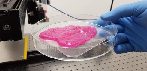 Carne impresa en 3D antes de convertirse en un filete.