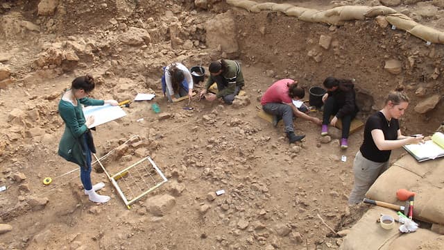 Excavaciones