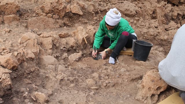 Excavaciones