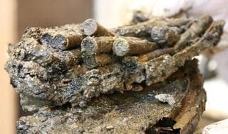Parte de lo encontrado en las excavaciones de la Ciudad Vieja. 