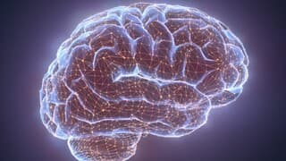 Inteligencia artificial israelí para ayudar en la detección del cáncer. 