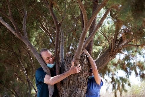 Una pareja abraza un árbol en un paseo organizado por la Autoridad de la Naturaleza y Parques de Israel. (Reuters) Una pareja abraza un árbol en un paseo organizado por la Autoridad de la Naturaleza y Parques de Israel.